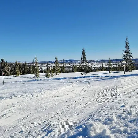 Beautiful In Vang Pa Hedmarken Saeli